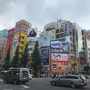 [LEE&JO 도쿄 여행] 아키하바라 원피스 피규어샵 탐방! 이외 볼거리가 정말 많은 곳!