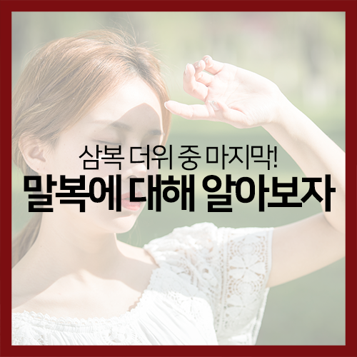 삼복 더위 중 마지막! 말복에 대해 알아보자 : 네이버 블로그