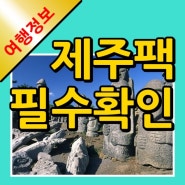 부산출발 제주도 여행패키지 필수 확인사항!