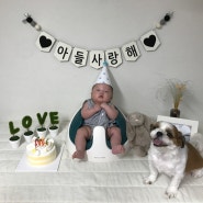 [유호몽실 일기6] 아기와 강아지 집에서 아기100일 셀프촬영 이야기