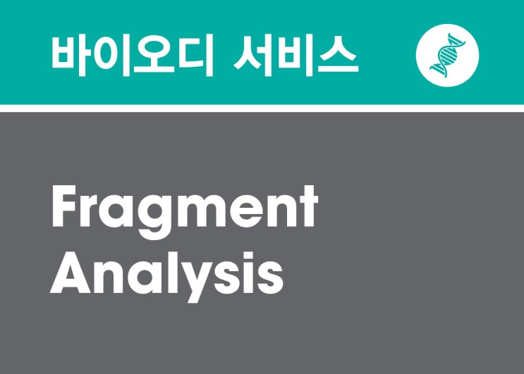 Fragment Analysis : 네이버 블로그