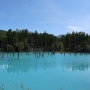 홋카이도 비에이 여행 :) 청의호수(青い池) & 흰수염 폭포(白ひげの滝)