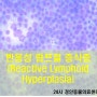 반응성 림프절 증식증(Reactive Lymphoid hyperplasia)_영등포동물병원, 고양이친화동물병원