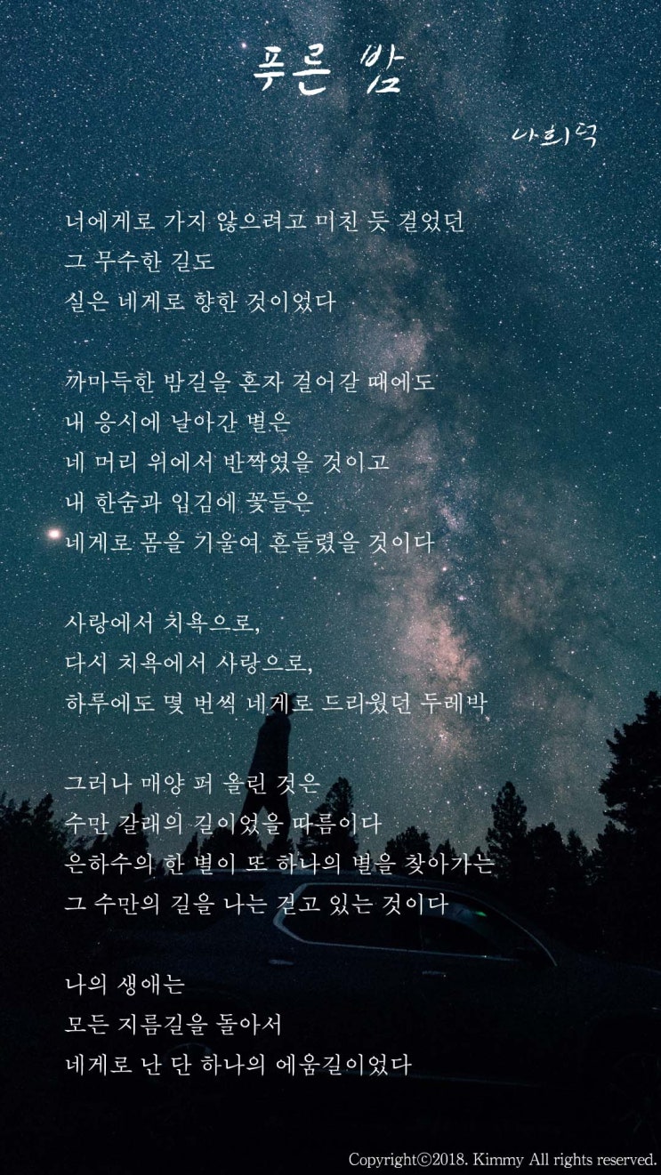 시 감상 푸른 밤나희덕 네이버 블로그 3720