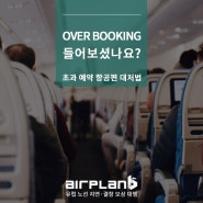 유럽 여행 항공기 오버부킹(초과 예약) 알아 보기 - 에어플랜비 AirplanB