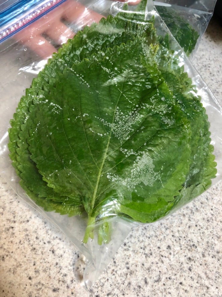 깻잎 활용법 :: 깻잎 고르는법, 씻는법, 그리고 오래 보관하는 방법까지 🍃 : 네이버 블로그