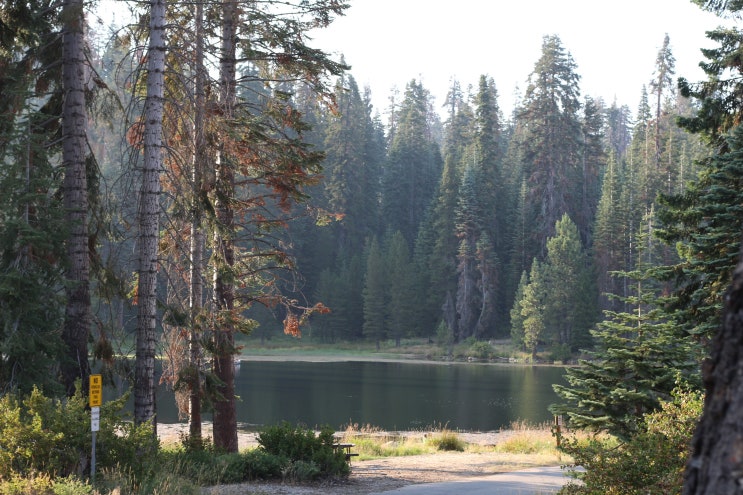 #2 세콰이어 국립공원 숙소 추천: Montecito Sequoia Lodge : 네이버 블로그