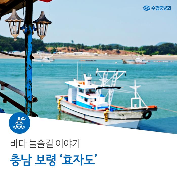 바다 늘솔길 이야기, 충남 보령 '효자도' : 네이버 블로그
