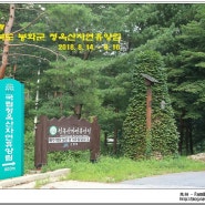 경상북도 봉화군 청옥산자연휴양림