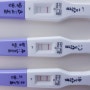 [임신 3주] 임신사실을 처음 알게 됨 한방에... 성공?!