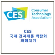 CES 2019 국제 전자제품 박람회 (LAS VEGAS JAN 8-11 2019)