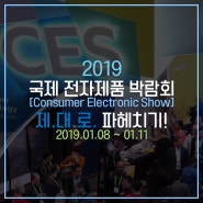 8월에 미리 알아보는 2019년 라스베가스 전자제품 박람회 CES 2019