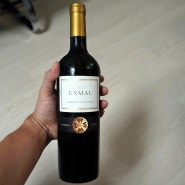 UXMAL 욱스말 와인