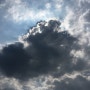 구름을 처음 본 건 언제일까?
