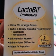 장 유산균 영양제 락토비프 꾸준섭취 중 LactoBif probiotics