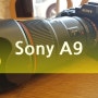 가성비 최고 물건 소개, 소니 Sony A9
