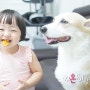 아이와 반려견이 함께 생활하는 집이라면 강아지 방문훈련은 선택이 아닌 필수! 시우스쿨링 애견훈련 솔직후기