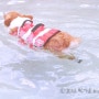 천안 아산 애견 운동장 에덴도그파크에서 강아지 수영 즐기기