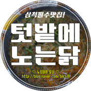 +삼척맛집+ 삼척가면 꼭! 무.조.건 먹어야하는 곳!!! >> 텃밭에 노는 닭