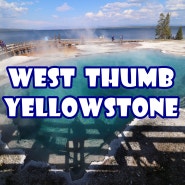 [옐로우스톤-West Thumb] 웨스트썸! Yellowstone국립공원에서 옐로우스톤호수와 함께 조망하는 특별한 곳