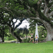 [괌여행지] 남부투어 나무가 우거진 곳, 우마탁마을 ♪