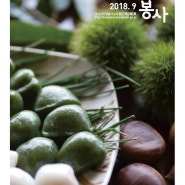 성남시자원봉사센터 소식지 2018년 9월호 "공감 그리고 봉사"
