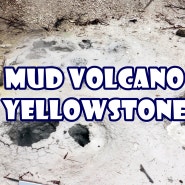 [옐로우스톤 국립공원-Mud Volcano Area] 마른 하늘에 우박을 맞았던 "머드 볼케이노" 그리고 "설퍼 카드론(Sulphur Cardron)"