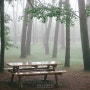 [제주여행] 2018.05.07. 렛츠런팜제주. 비오는 절물자연휴양림.