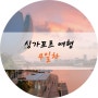 [여행후기ㅣ싱가포르 4박6일 여행] 4일차_토스트박스/돈돈돈키/마리나베이샌즈호텔/멀라이언파크/마칸수트라호커센터/가든스바이더베이슈퍼트리쇼