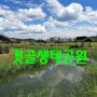 서울근교 당일여행 시흥시 갯골생태공원 갯골전망대 시흥시여행