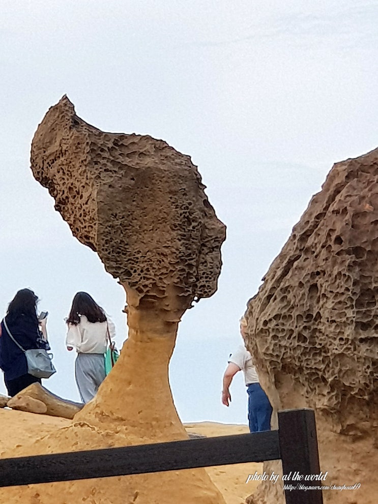 대만 여행 가볼만한곳 희귀한 모양의 바위 예류 지질공원 : 네이버 블로그