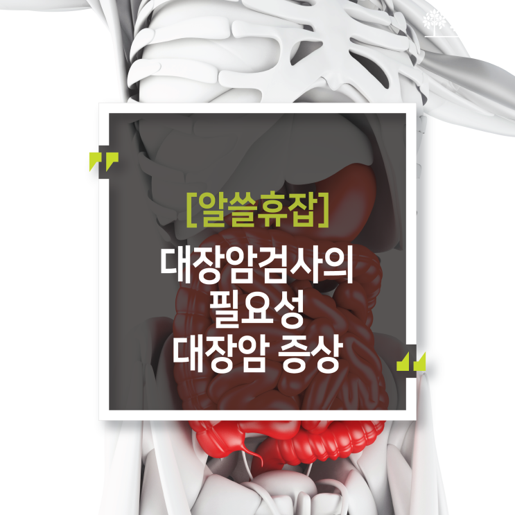 대장암초기증상 ㅣ 정기적인 대장내시경이 필요한 이유 : 네이버 블로그