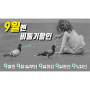 부산카메라대여 2018년 9월엔 비둘기할인!!