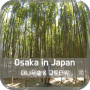 일본으로 여행을 떠나보자 : 오사카 2일차