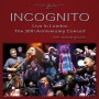 인코그니토 Incognito - 실용음악과 학생들의 바이블과 같은 Acid Jazz밴드