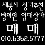 세종시 상가 매매 / 병의원 임대 맞춰진 상가 / 임대맞춰진 상가 매매 / 임대맞춰진상가추천 / 임대 맞춰진 투자 물건 /