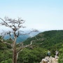 [8월의 명산 | 양평 용문산] 용龍의 내력과 고승의 덕풍지광이 넘치는 산