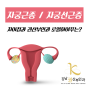 자궁근종, 자궁선근증 차이점과 권산부인과 로열하이푸?