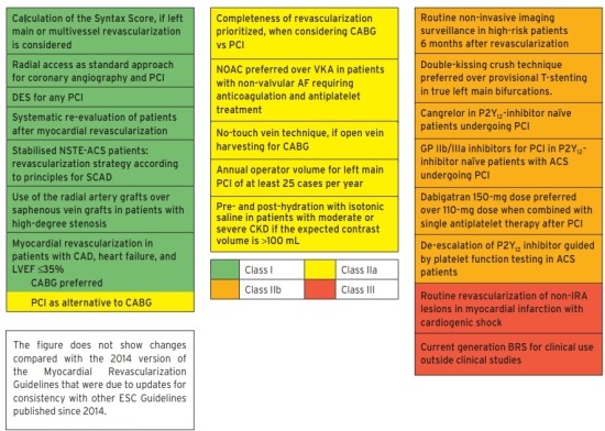 2018 ESC/EACTS Guidelines on myocardial revascularization 1 : 네이버 블로그