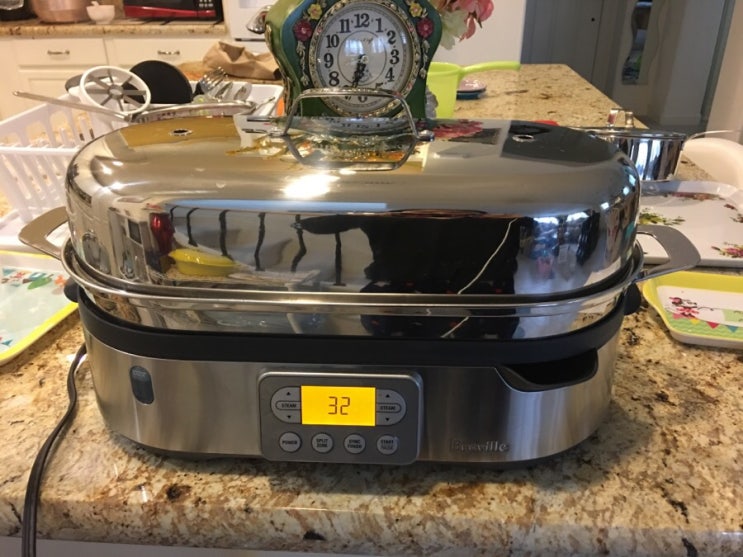 Breville BFS800BSS Food Steamer 너는 내 운명 네이버 블로그