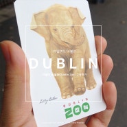 [아일랜드|더블린] 더블린 동물원(Dublin Zoo) 구경하기!