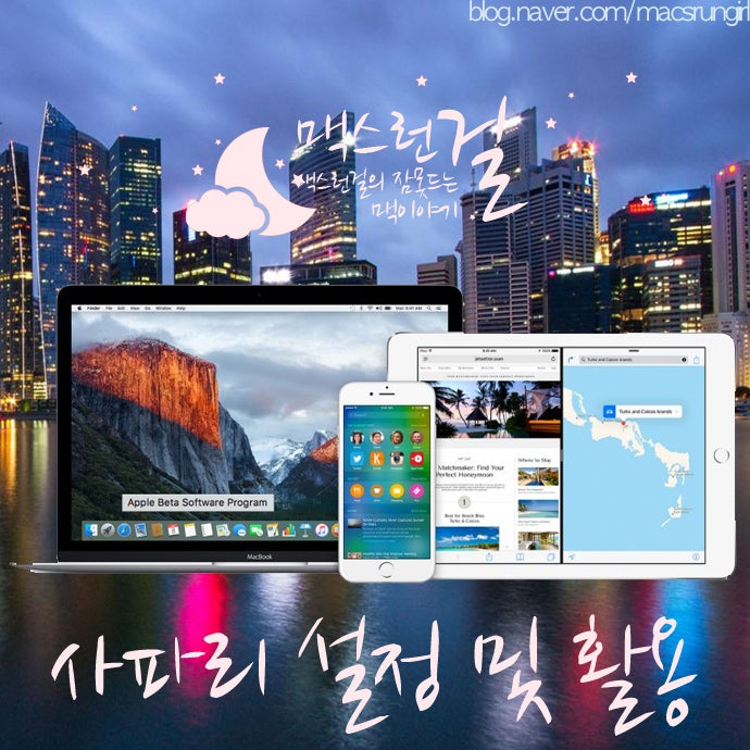 맥북 사파리 기본 설정 및 활용 (인터넷 웹서핑) : 네이버 블로그