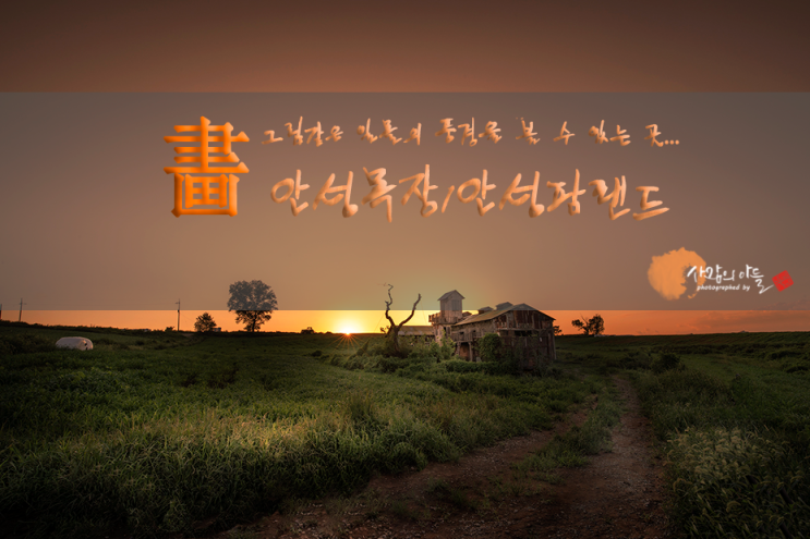 경기/안성/가볼만한곳/안성목장/안성팜랜드 : 네이버 블로그