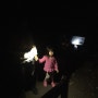 호주 골드코스트 가볼만한곳 밤에는 반딧불투어 !