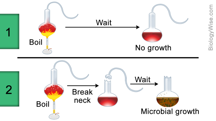 pasteur cholera experiment