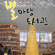 서울 가볼만한곳 코엑스 별마당 도서관 (낮)