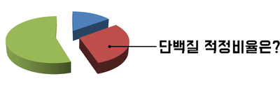 다이어트 위한 단백질 하루 섭취량 가이드! : 네이버 블로그