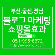 부산블로그마케팅 울산블로그마케팅 아이위즈-쇼핑몰효과