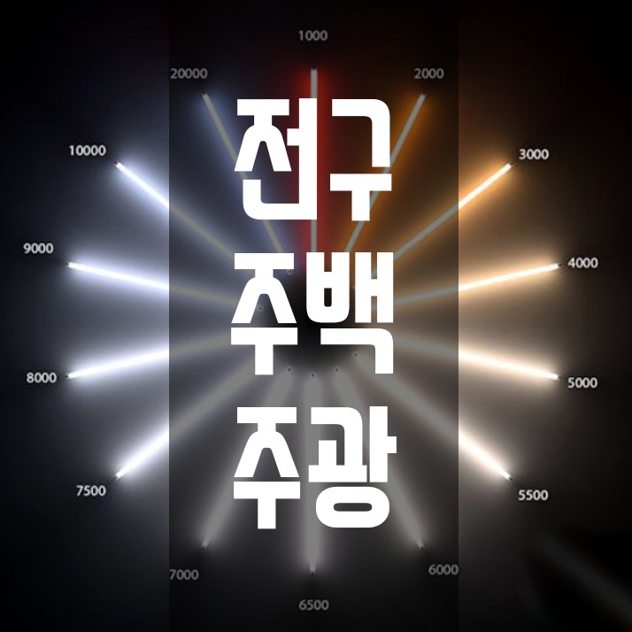 17. 형광등 LED 주광색, 전구색, 주백색 구분하는 방법 : 네이버 블로그