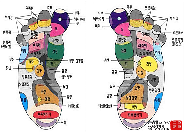 쉬운 발지압으로 발 관리 시작~ 발지압점 10군데 따라하자 : 네이버 블로그